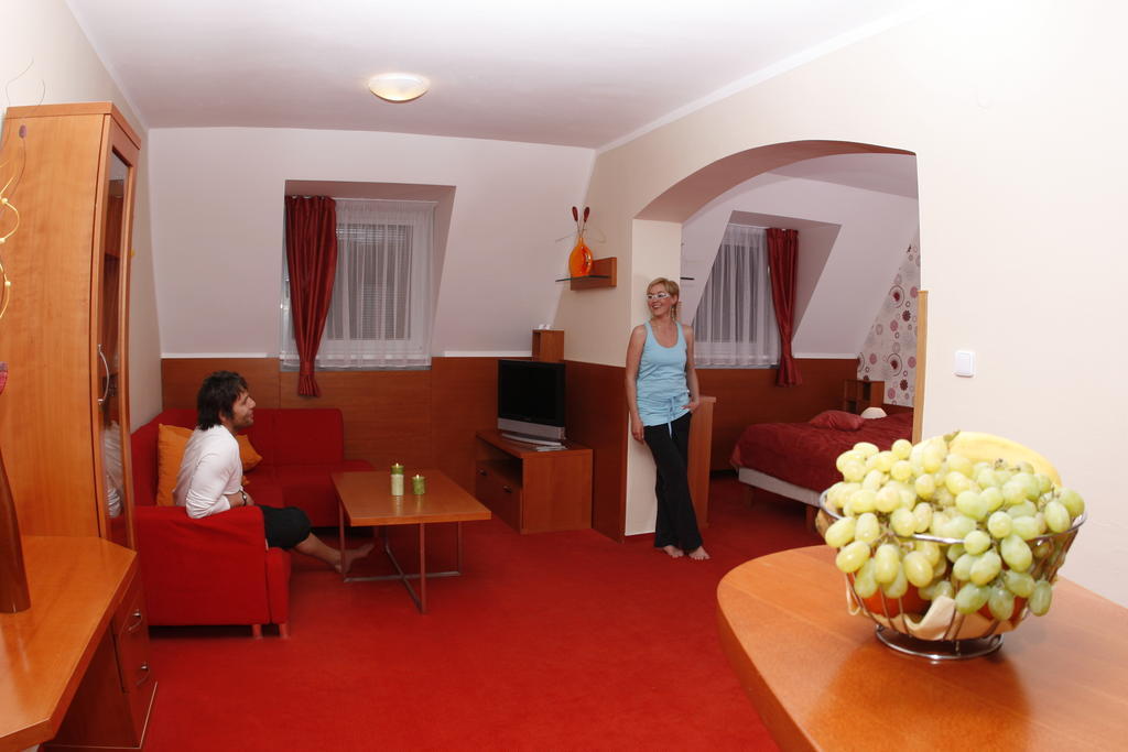 Wellness Hotel Diana Velké Losiny Rum bild
